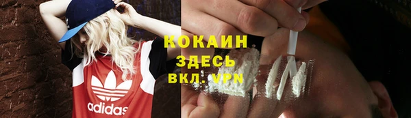 2c-b Богородицк
