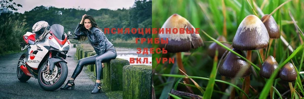2c-b Богородицк