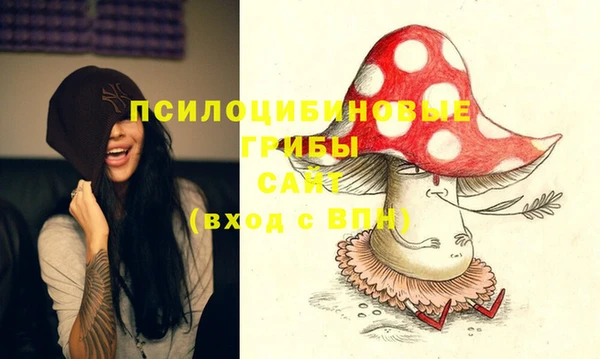 2c-b Богородицк