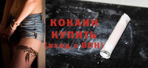 2c-b Богородицк