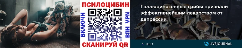 хочу Гатчина Галлюциногенные грибы MAGIC MUSHROOMS