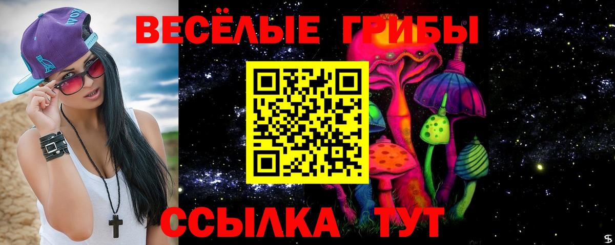 Псилоцибиновые грибы мицелий  где продают   Гатчина  Вход с VPN 